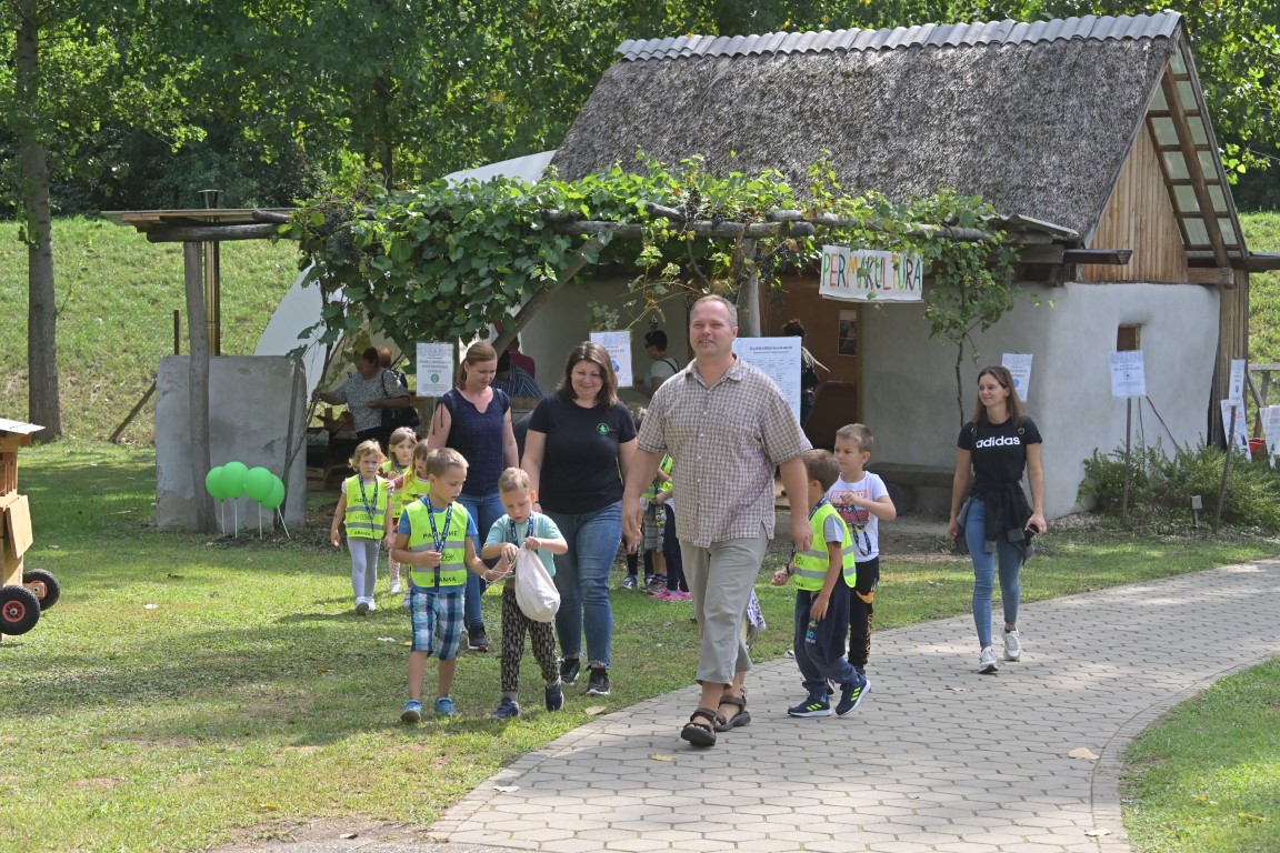 Image 5803671 (auto)