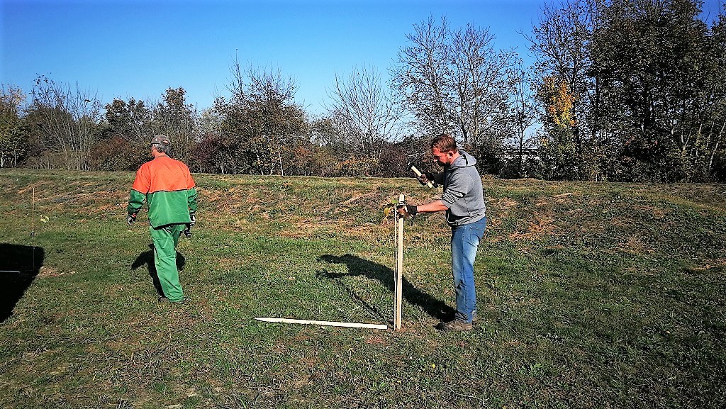 FOTO Velik broj građana subotnje prijepodne iskoristio za sadnju stabala u Čakovcu