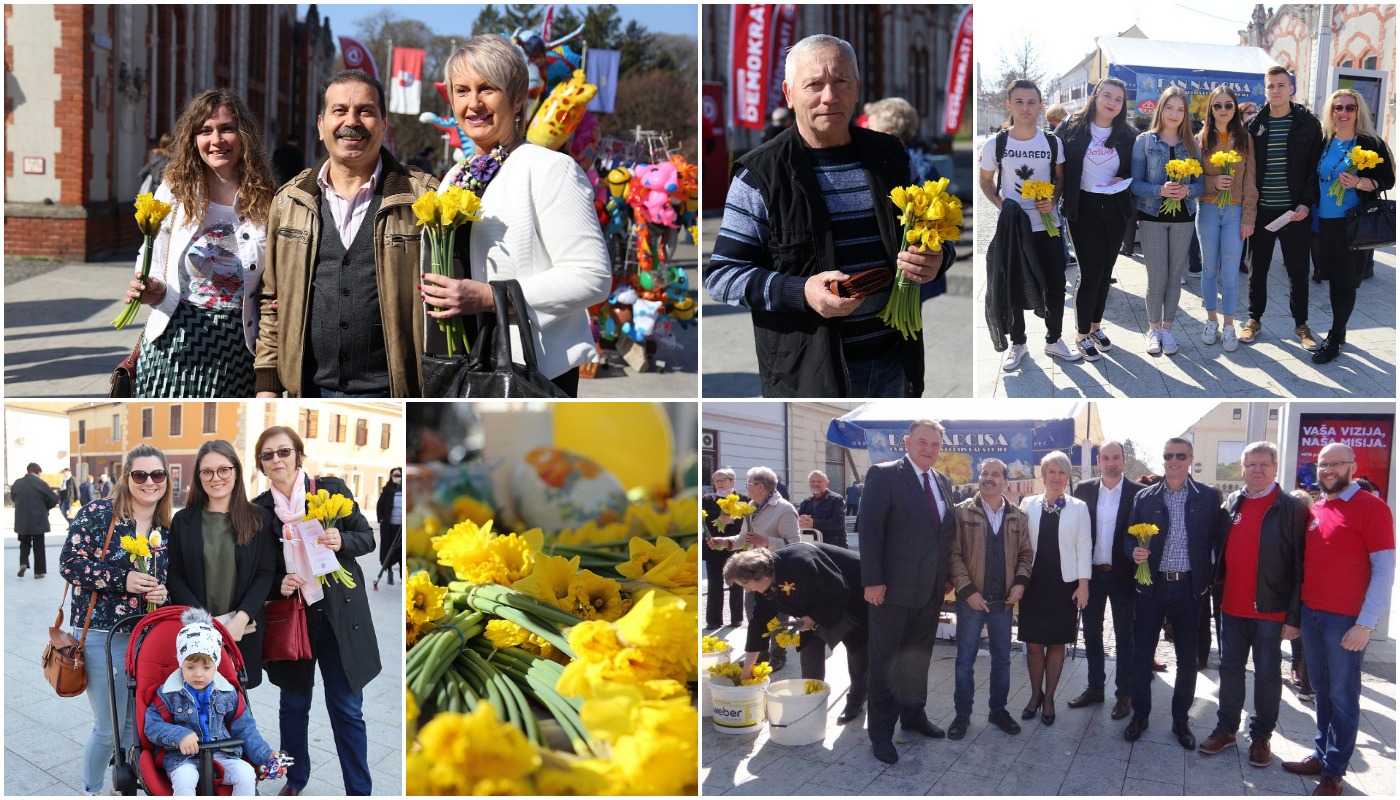 Dan narcisa – Međimurje obojeno u žuto