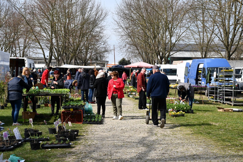 S dolaskom proljeća i toplijih dana živnuo je i čakovečki sajam