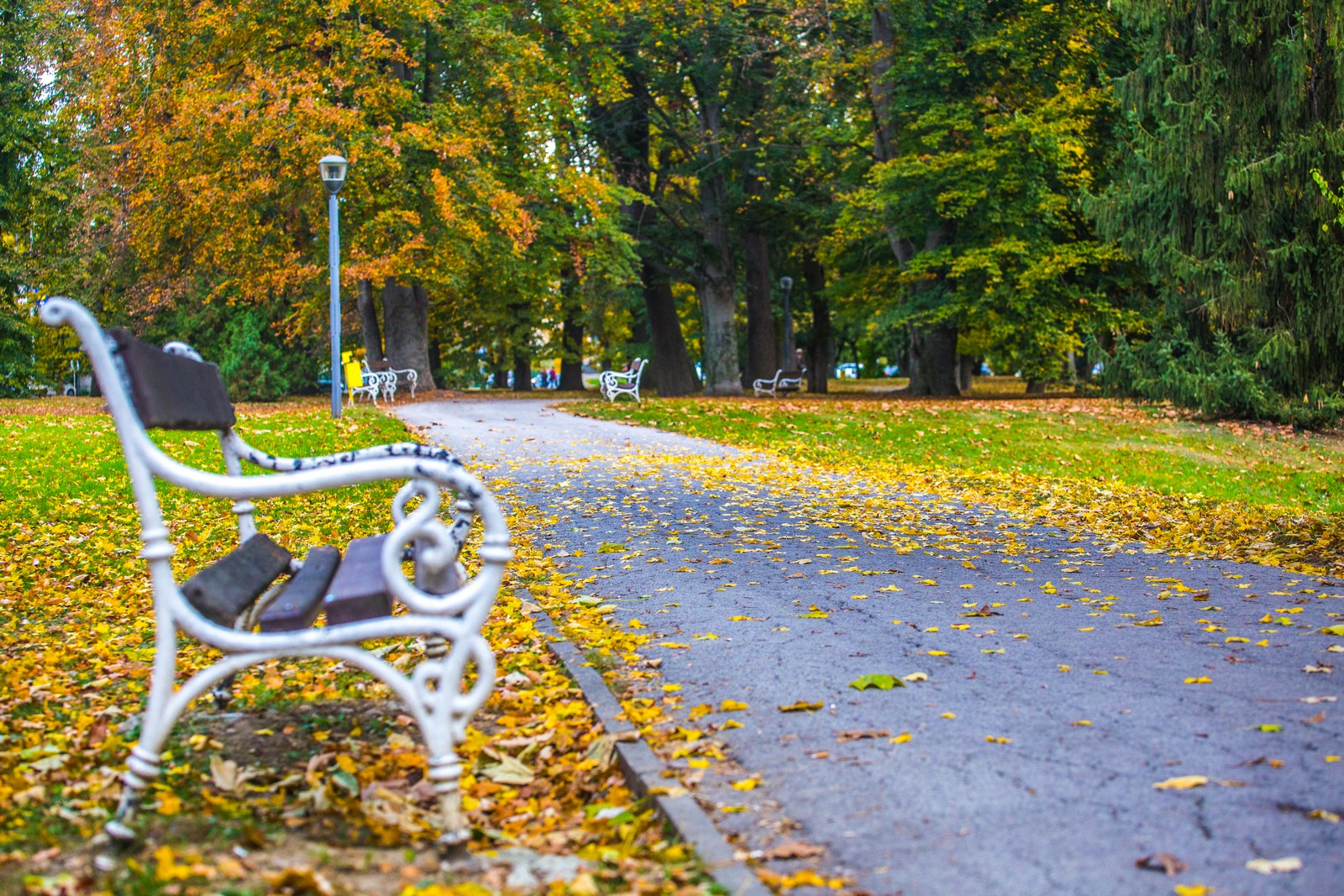 Čarobna jesen: Naša Miroslava Novak prošetala je čakovečkim parkom i snimila šarenilo jesenskih boja. Predivno, zar ne? (y) :-)