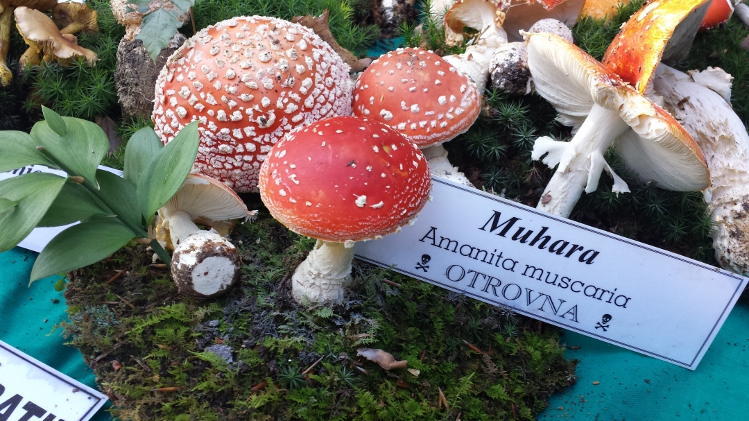 20140928102343159027