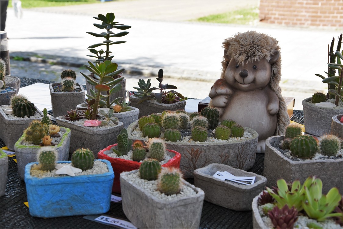 Sajam poduzetnica u Čakovcu