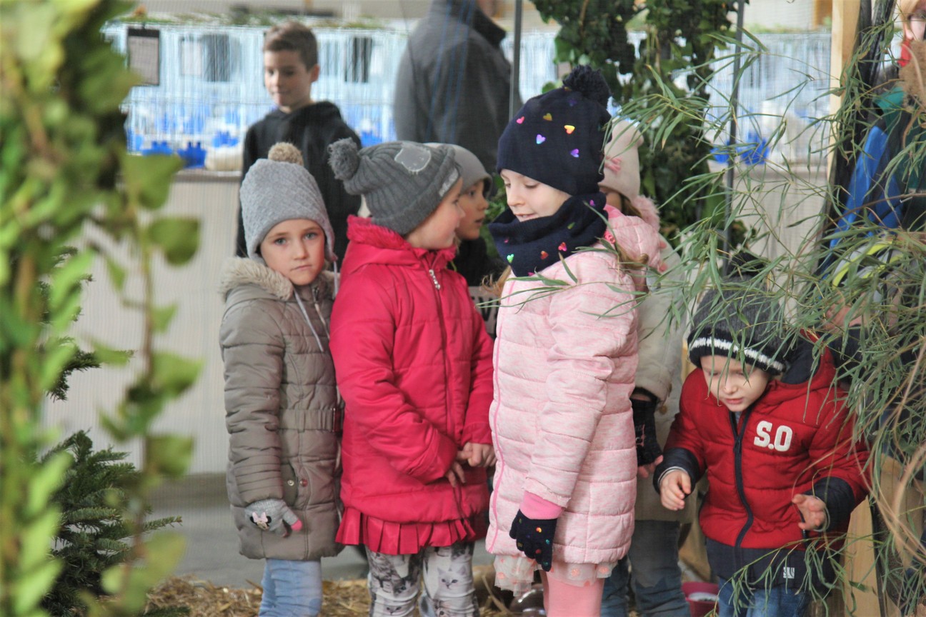 Otvorena izložba malih životinja u Nedelišću