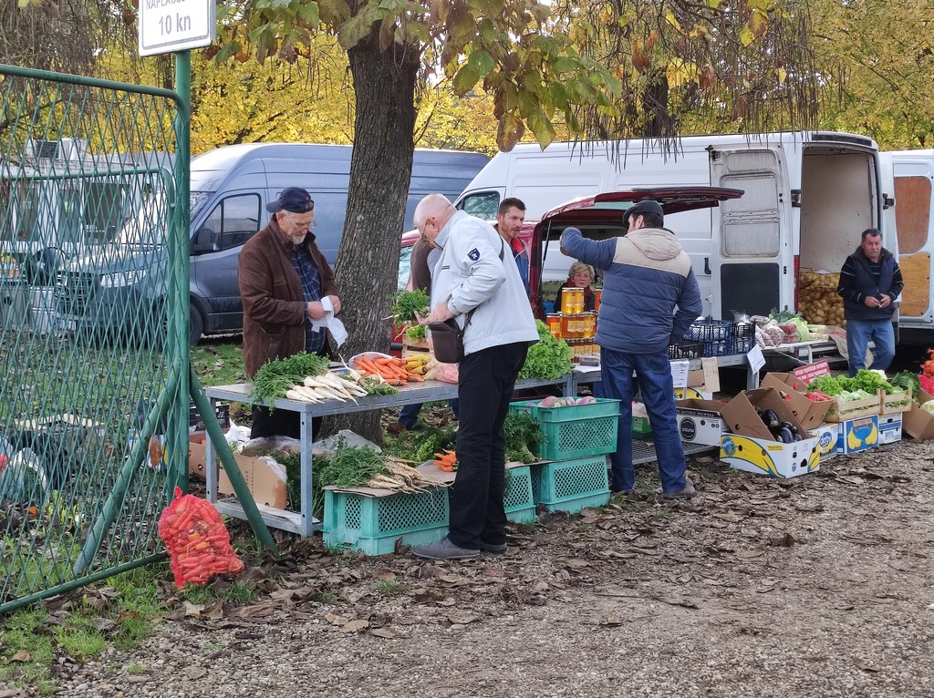 SAJAM SRIJEDOM Jeste li već probali meksički krastavac ili čajot?