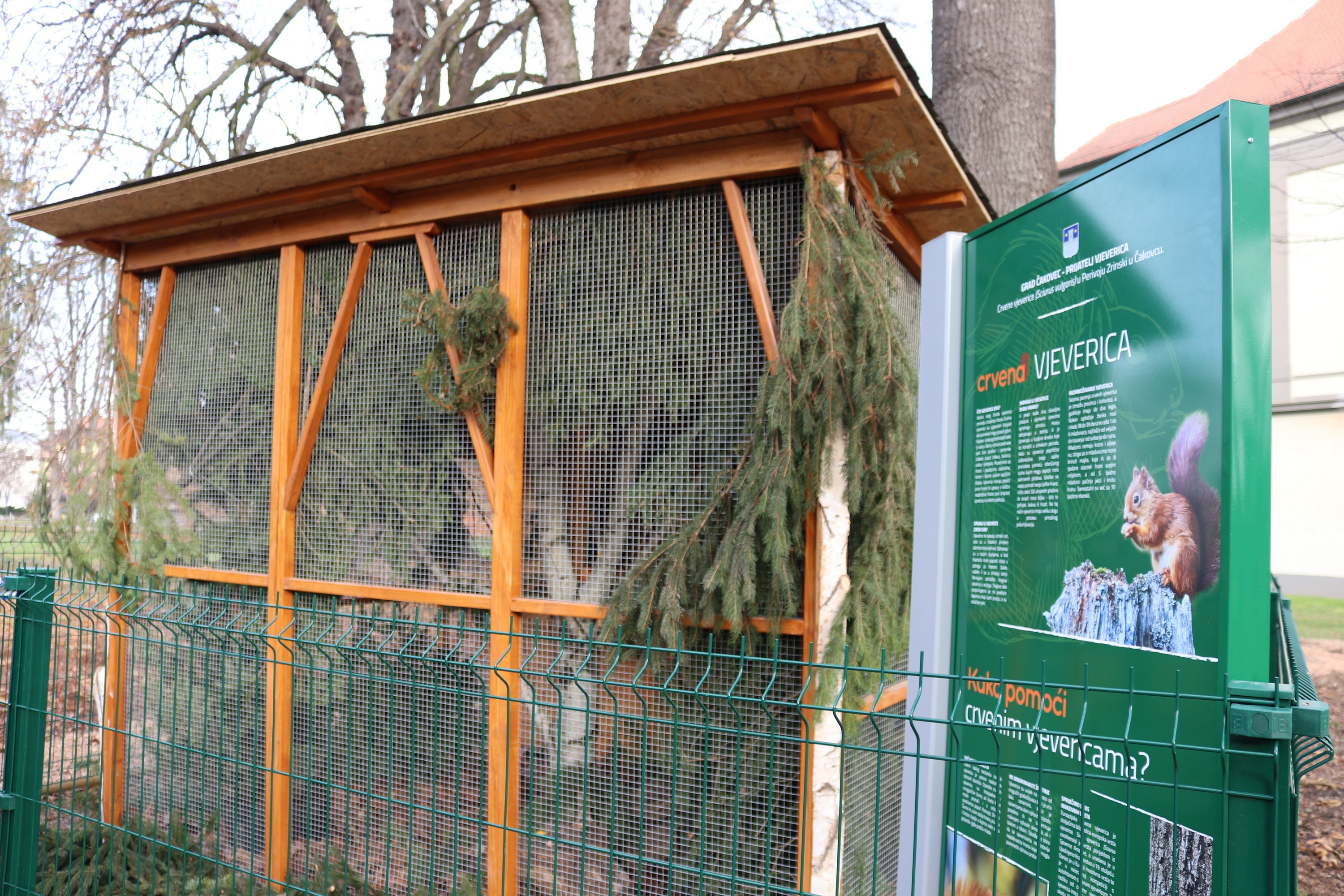 Crvene vjeverice stigle u Čakovec