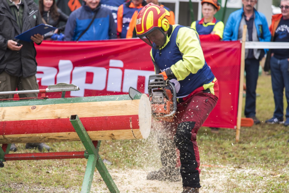 Image 5803651 (auto)