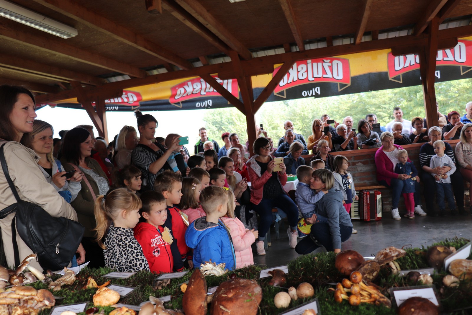 Kestenijada na Šuderici u Goričanu