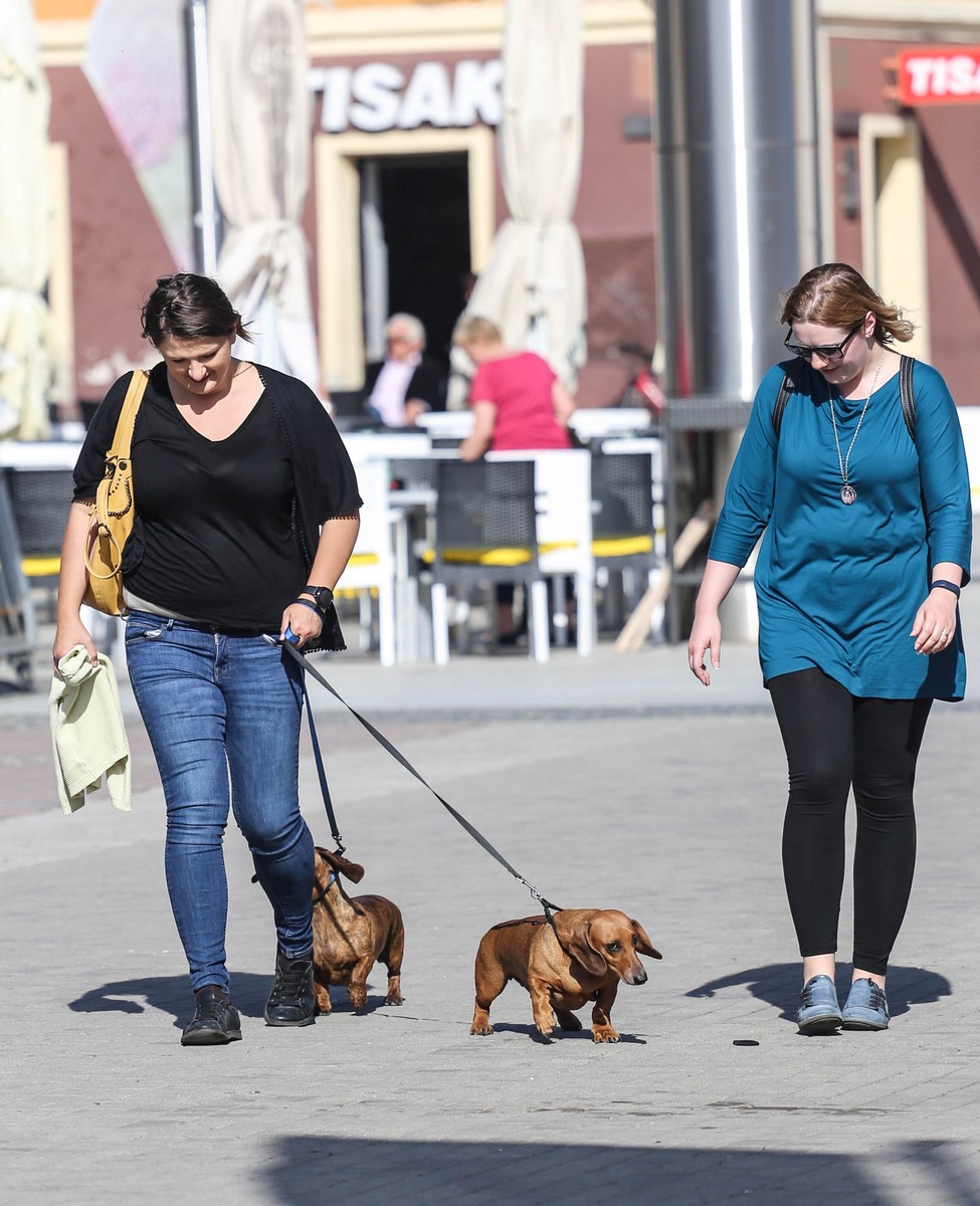 Klikom po Čakovcu (27.4.2019.)