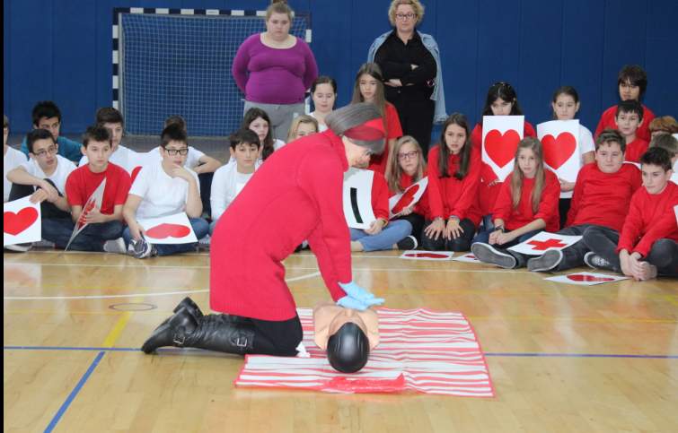 20150920165087940alenkanovak573