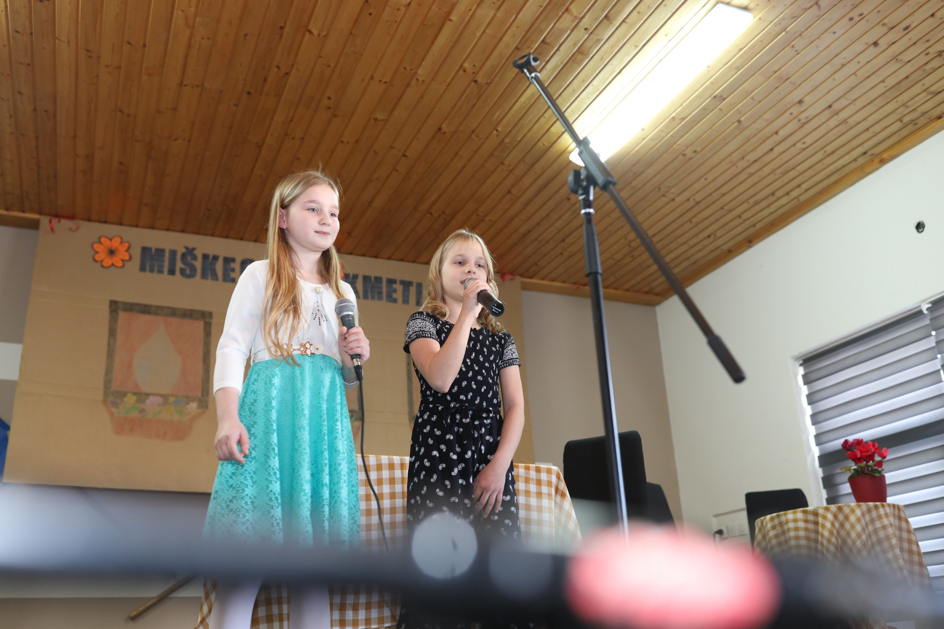 Priredba uz Dan žena u Stanetincu