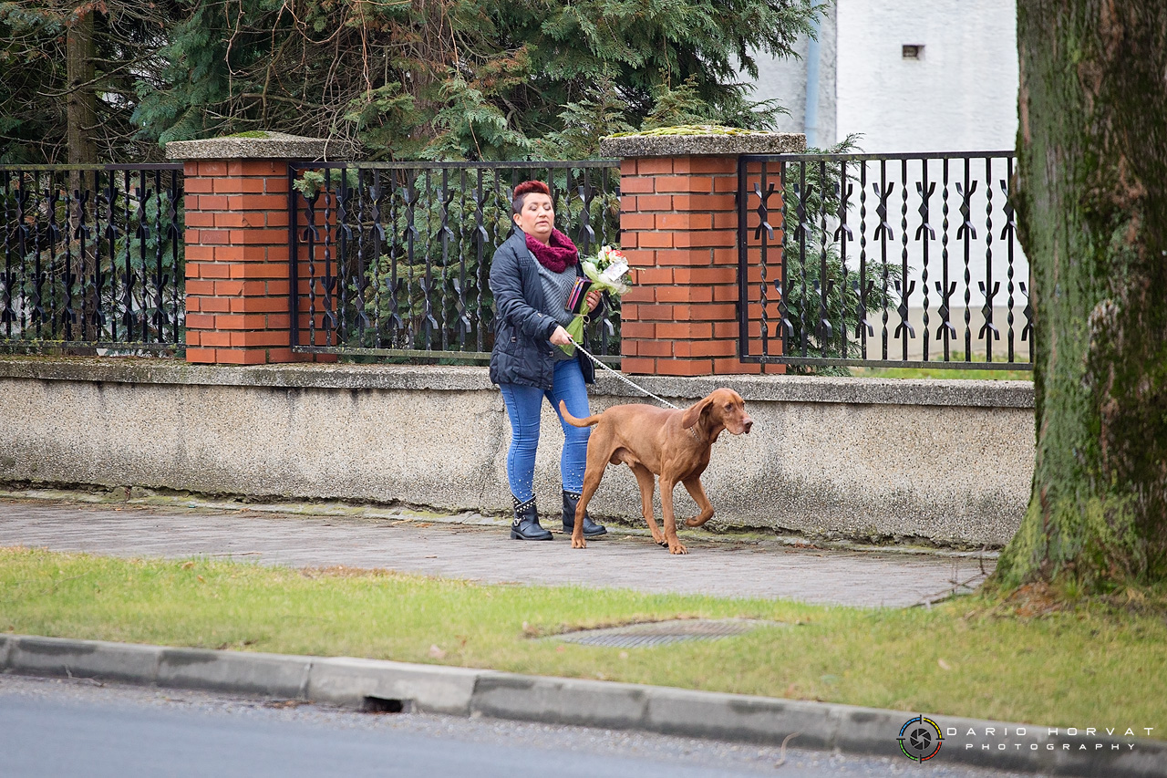 Klikom po Prelogu (19.1.2019.)