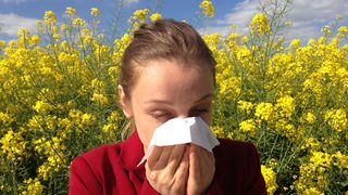 Alergija