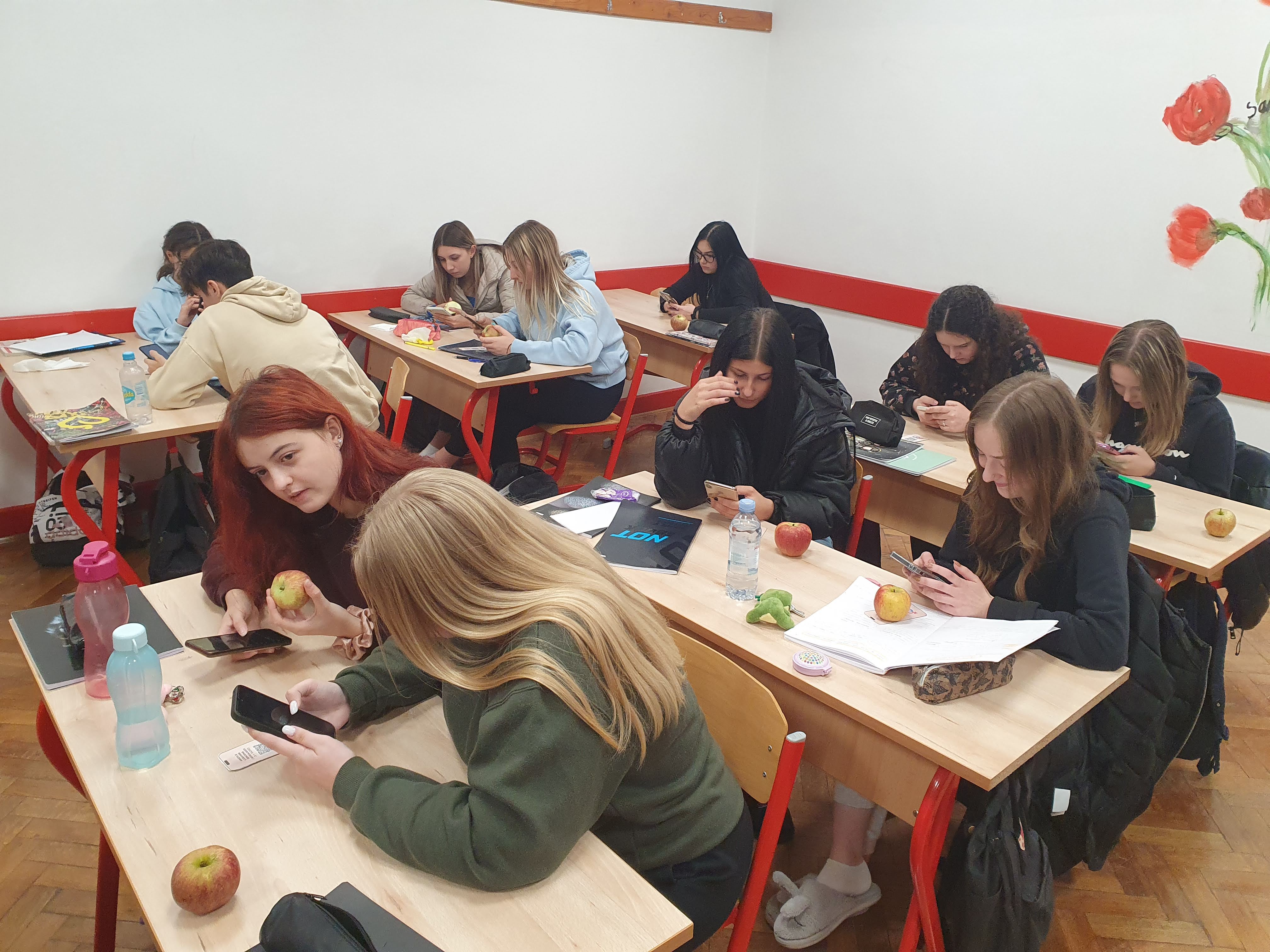 Istraživanje u Ekonskoj i trgovačkoj školi Čakovec