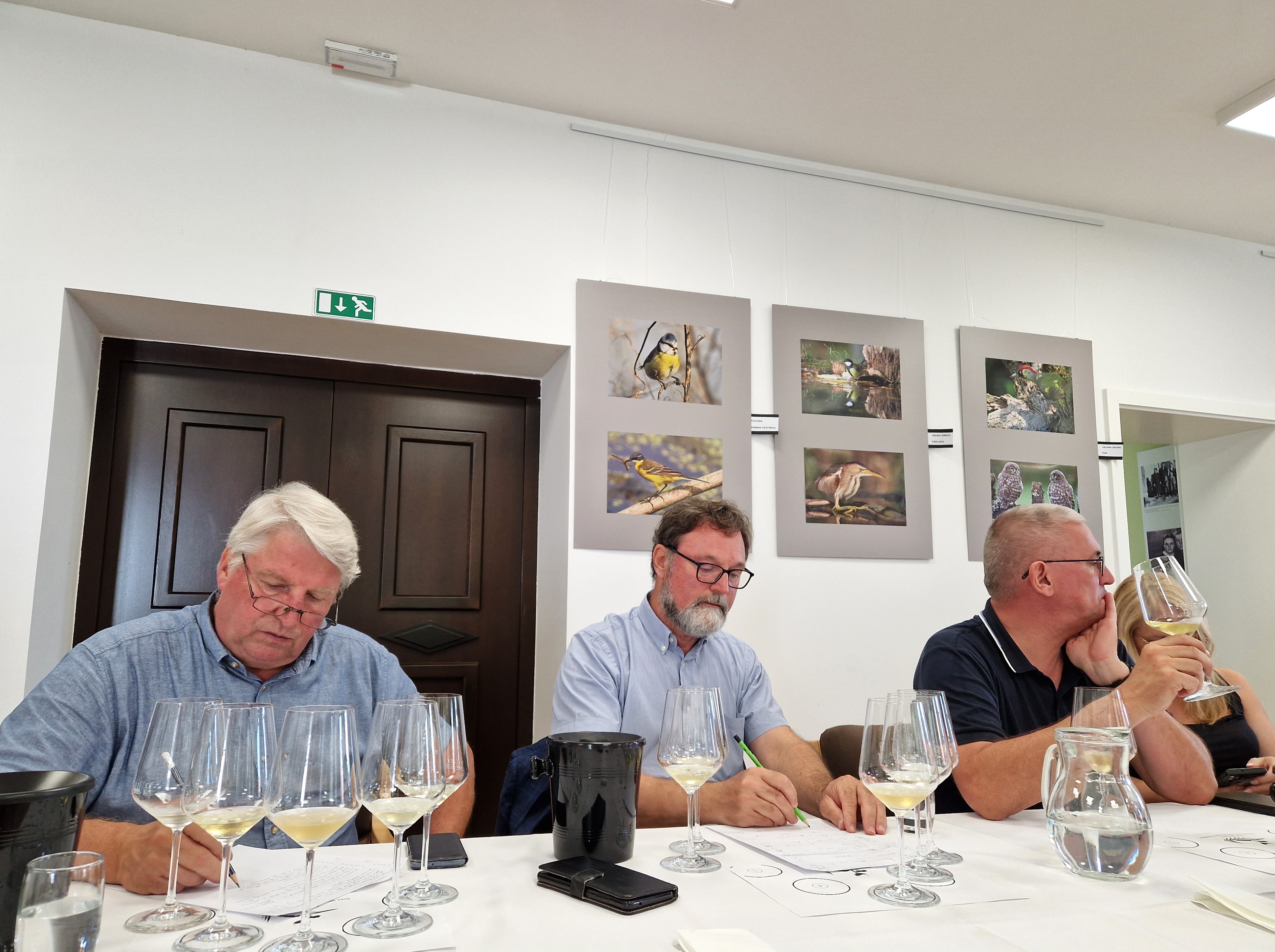 MEĐUNARODNA RADIONICA I DEGUSTACIJA Kušačima je bilo ponuđeno pet setova kvalitetnih vina