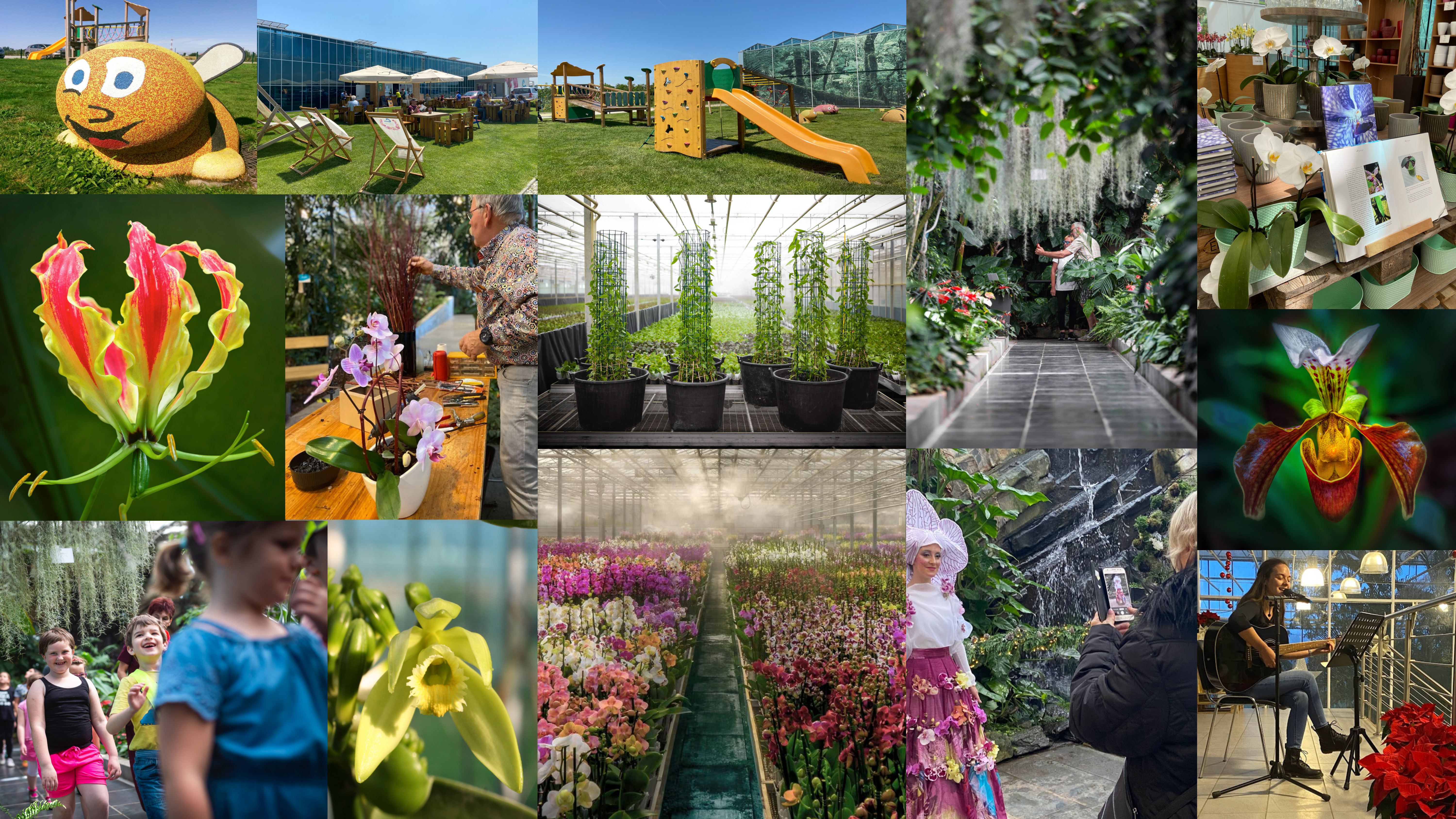 Image 5818467 (auto)