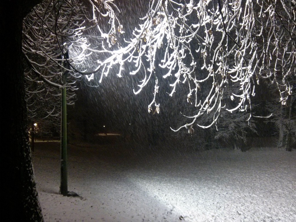 img20141228042732165446