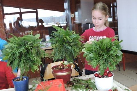 saramariamarljivoradi160141