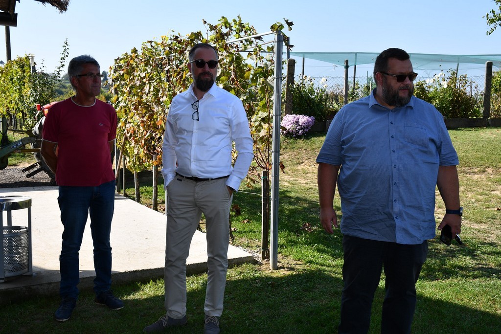 Vinarija Horvat, berba