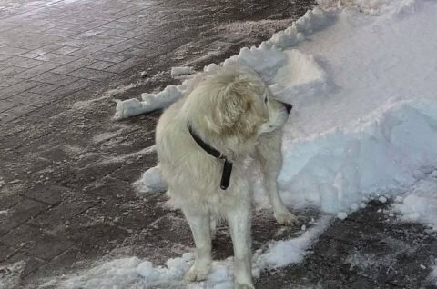 610526866_1962527897953920_698294159545061899_n 22