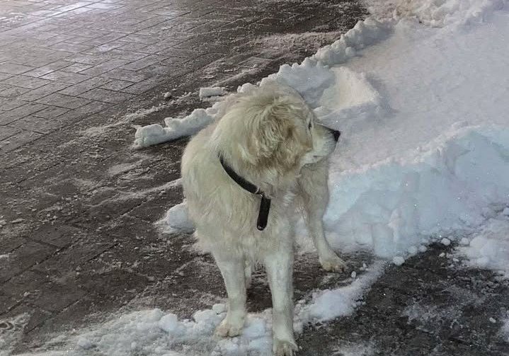 610526866_1962527897953920_698294159545061899_n 22 610526866_1962527897953920_698294159545061899_n 22