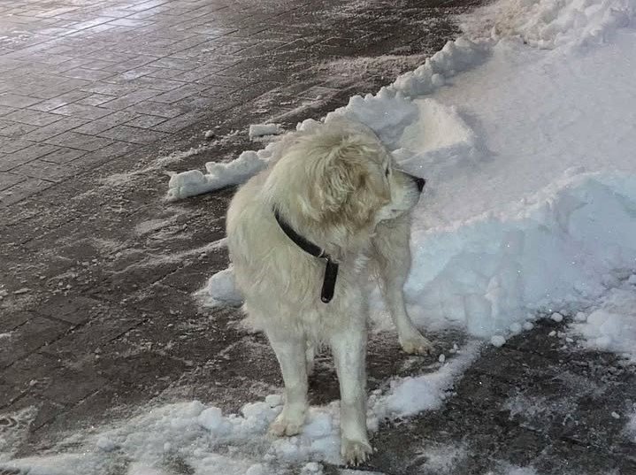 610526866_1962527897953920_698294159545061899_n 22 610526866_1962527897953920_698294159545061899_n 22