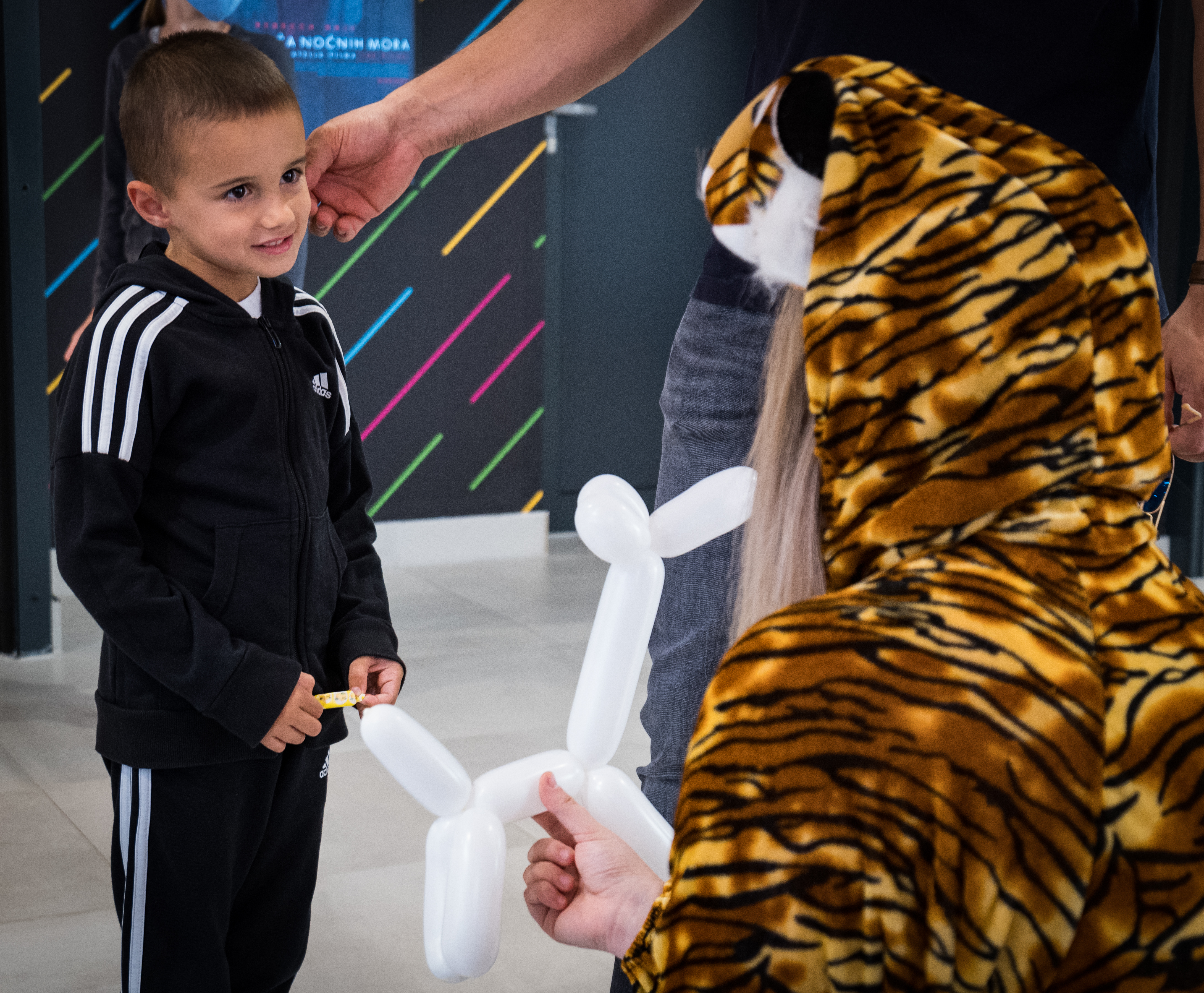 Image 5056124 (auto)