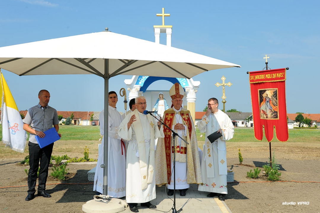 303512661dsc8063784131