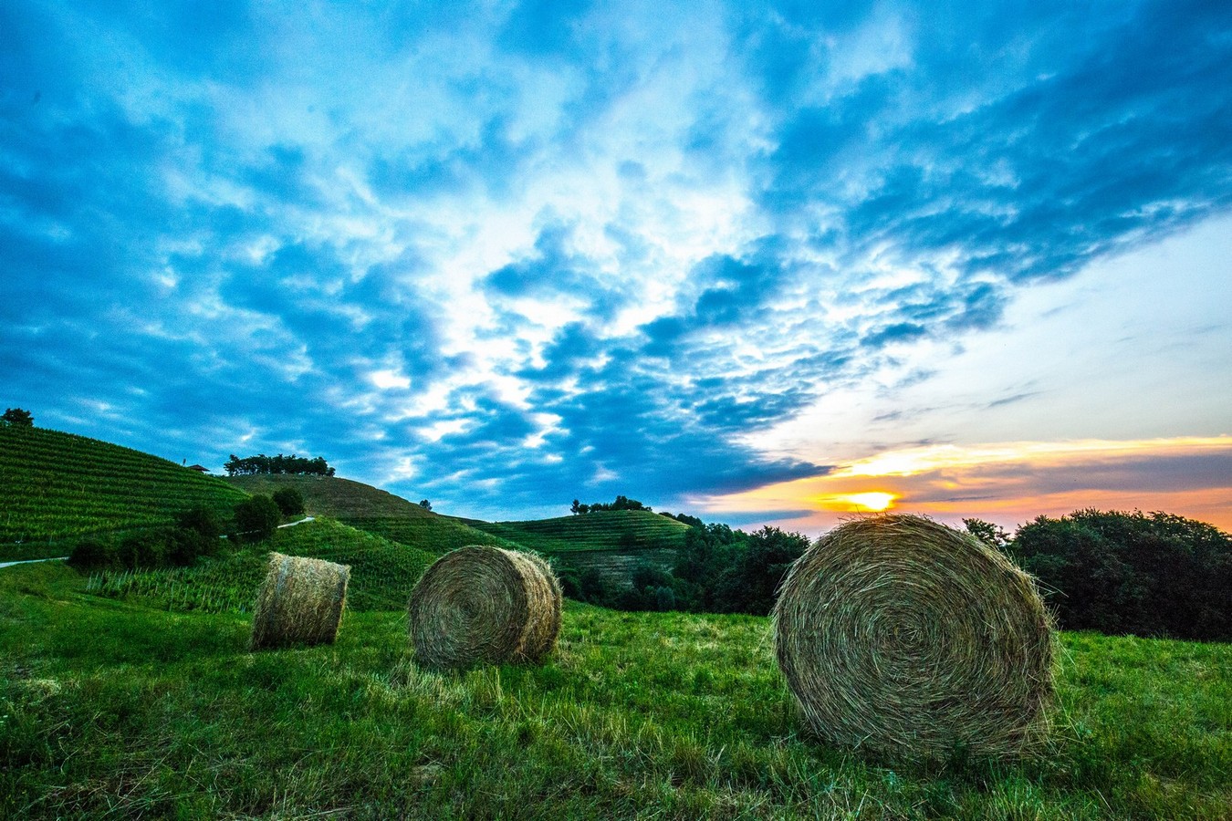 Doček ljeta na Mađerkinom bregu