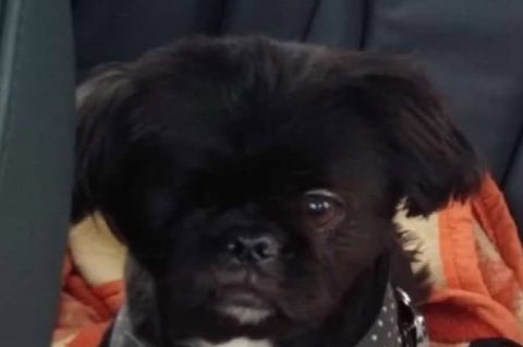 612341633_743122145072062_1356697646062909483_n 22