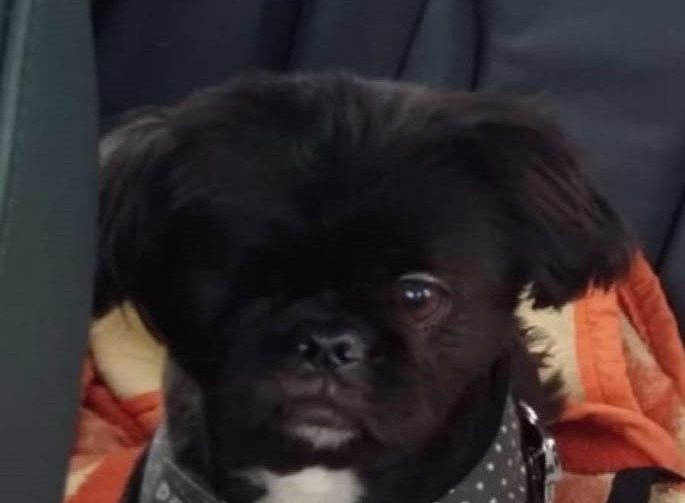 612341633_743122145072062_1356697646062909483_n 22 612341633_743122145072062_1356697646062909483_n 22