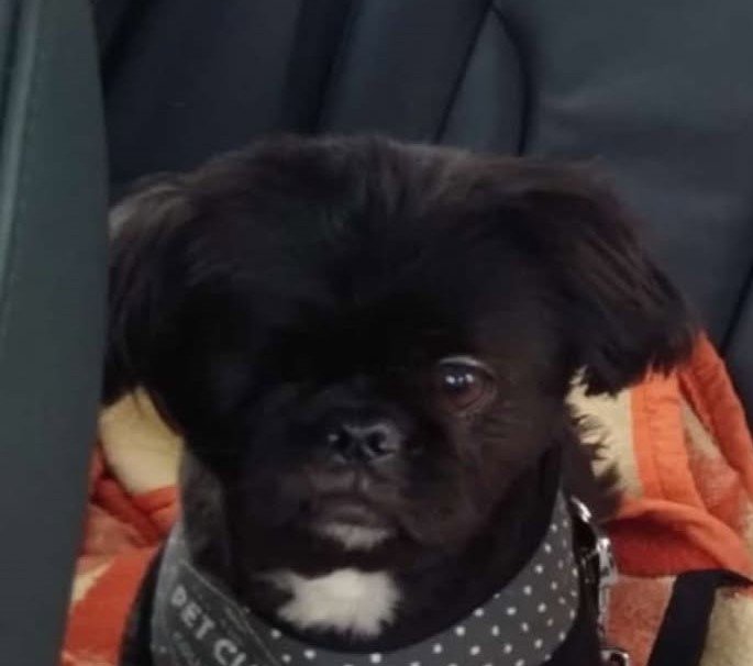 612341633_743122145072062_1356697646062909483_n 22 612341633_743122145072062_1356697646062909483_n 22