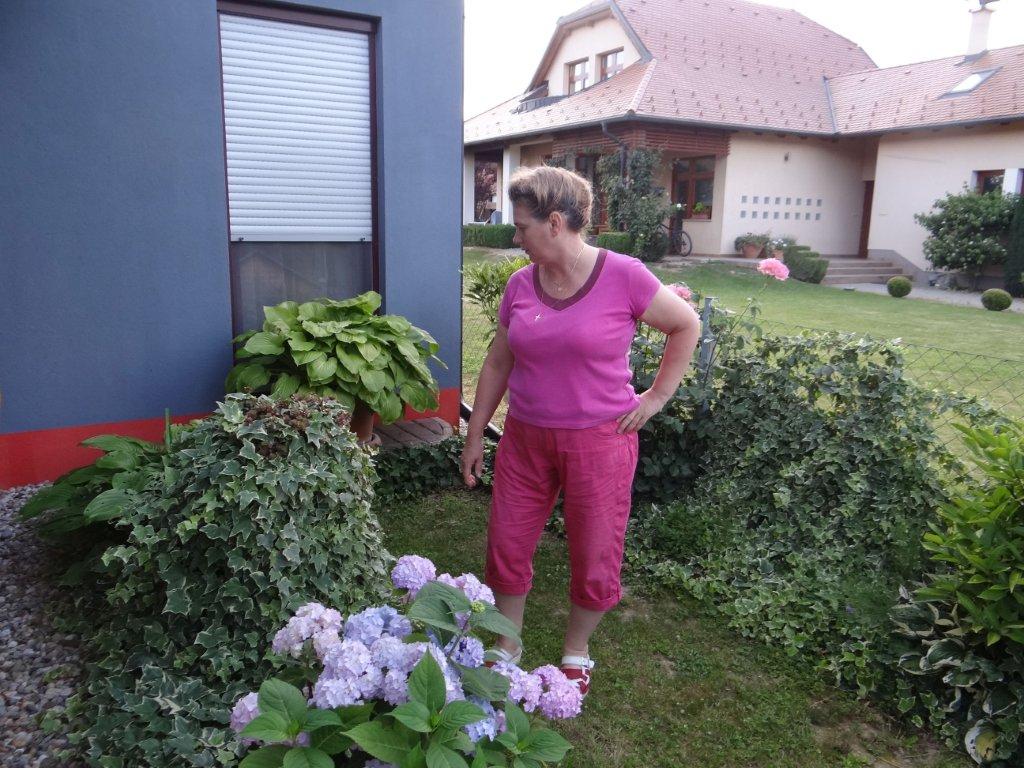 Biljno carstvo Vanje i Alena u Šenkovcu: Njihov vrt ‘Četiri godišnja doba’ mami poglede