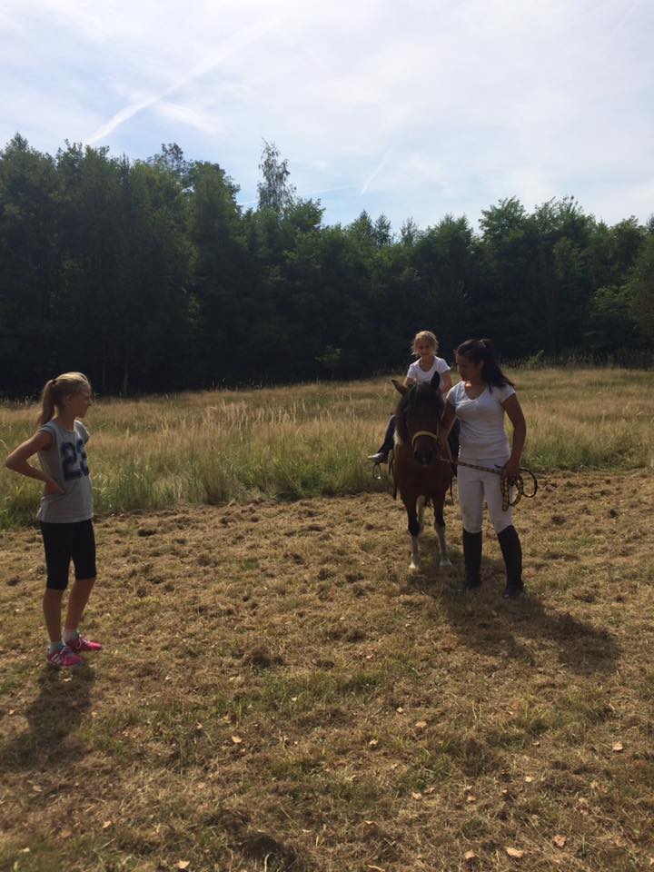 1420264633131905720293569333126