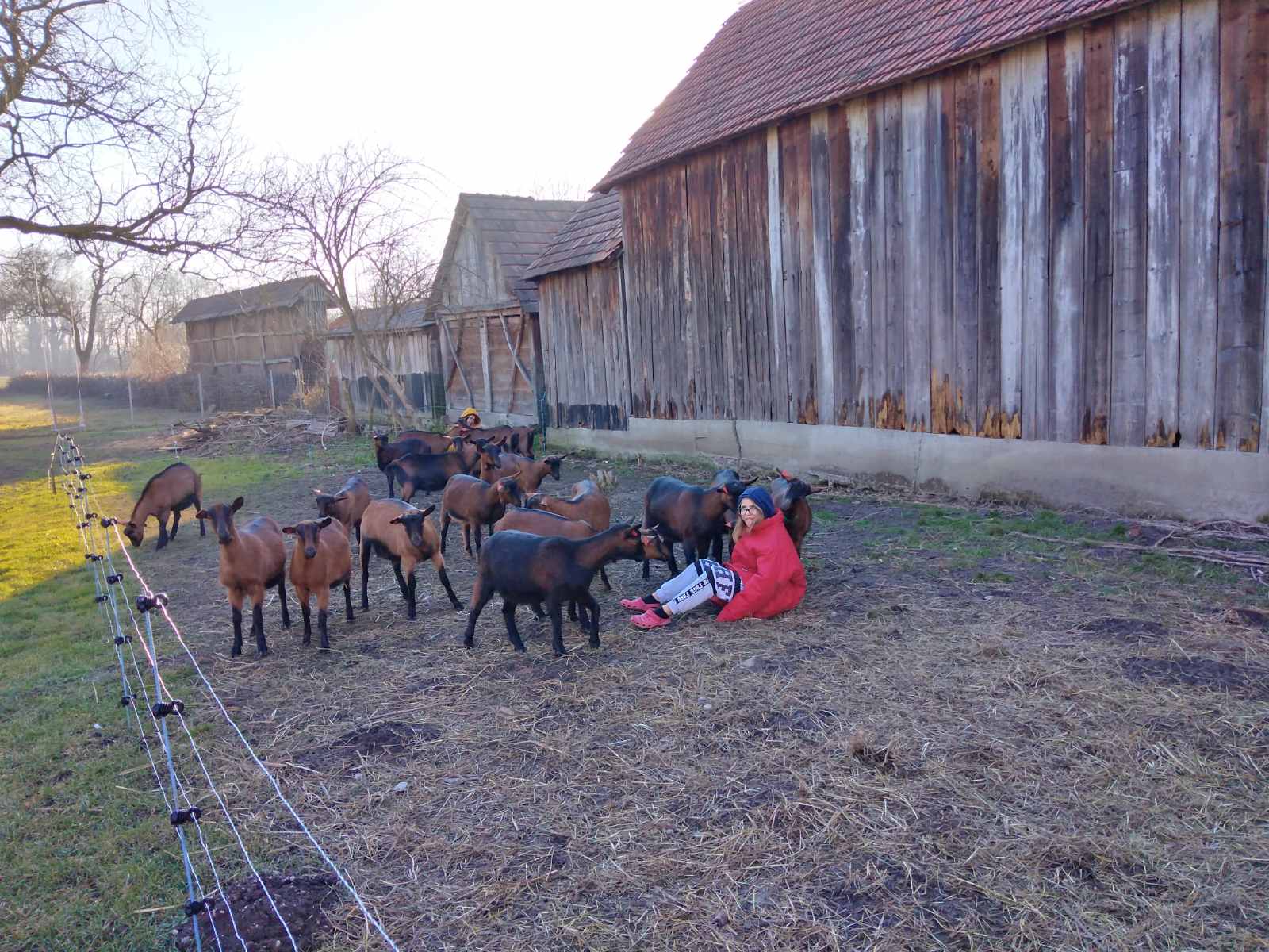 Jelena Vuletić Čičko