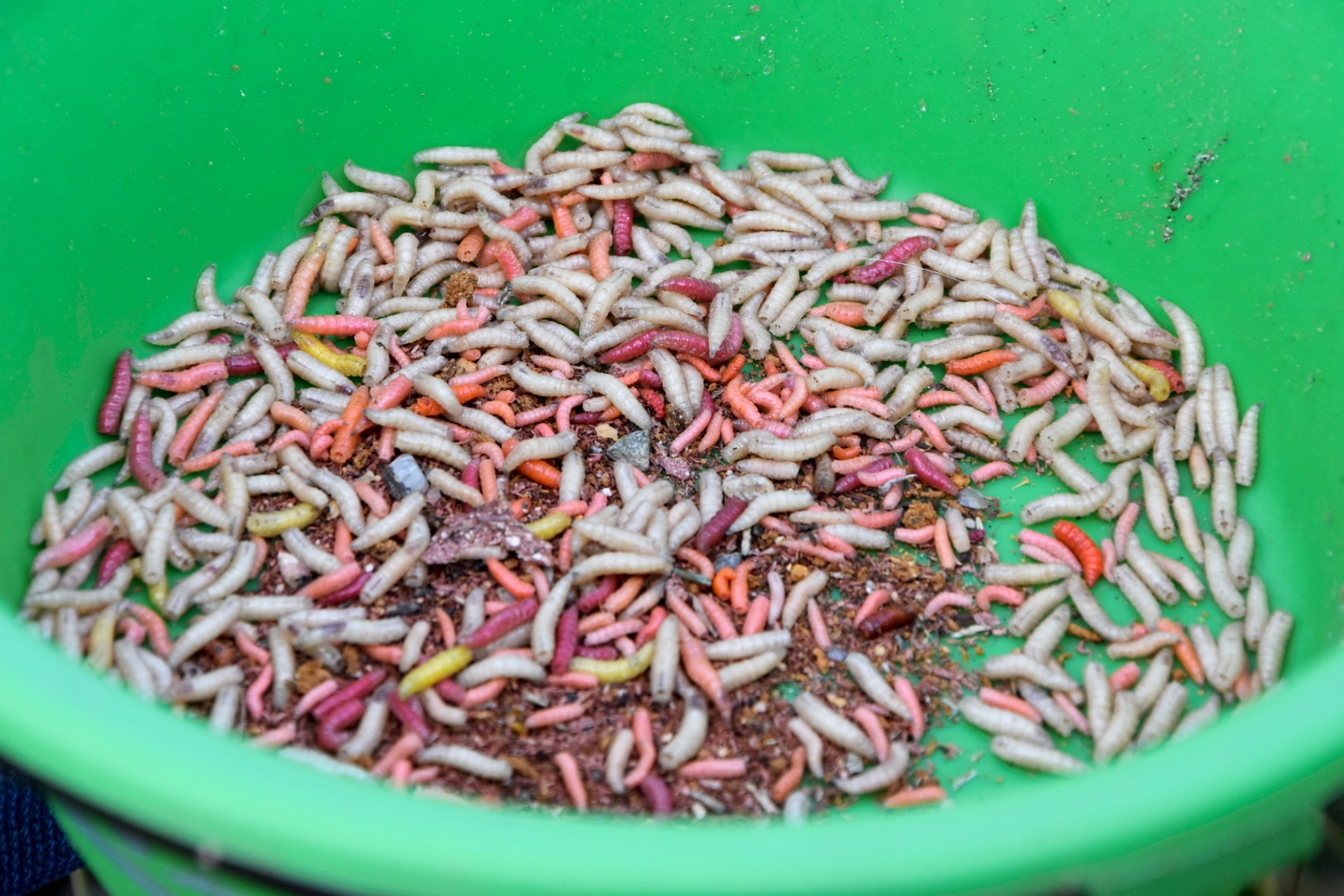 FOTO Na društvenom natjecanju u ribolovu pobijedio Tomislav Filipović s 2,86 kilograma ribe