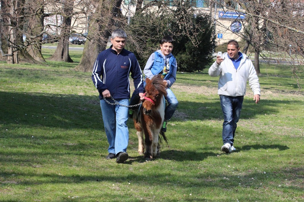 sekcija1824184486429