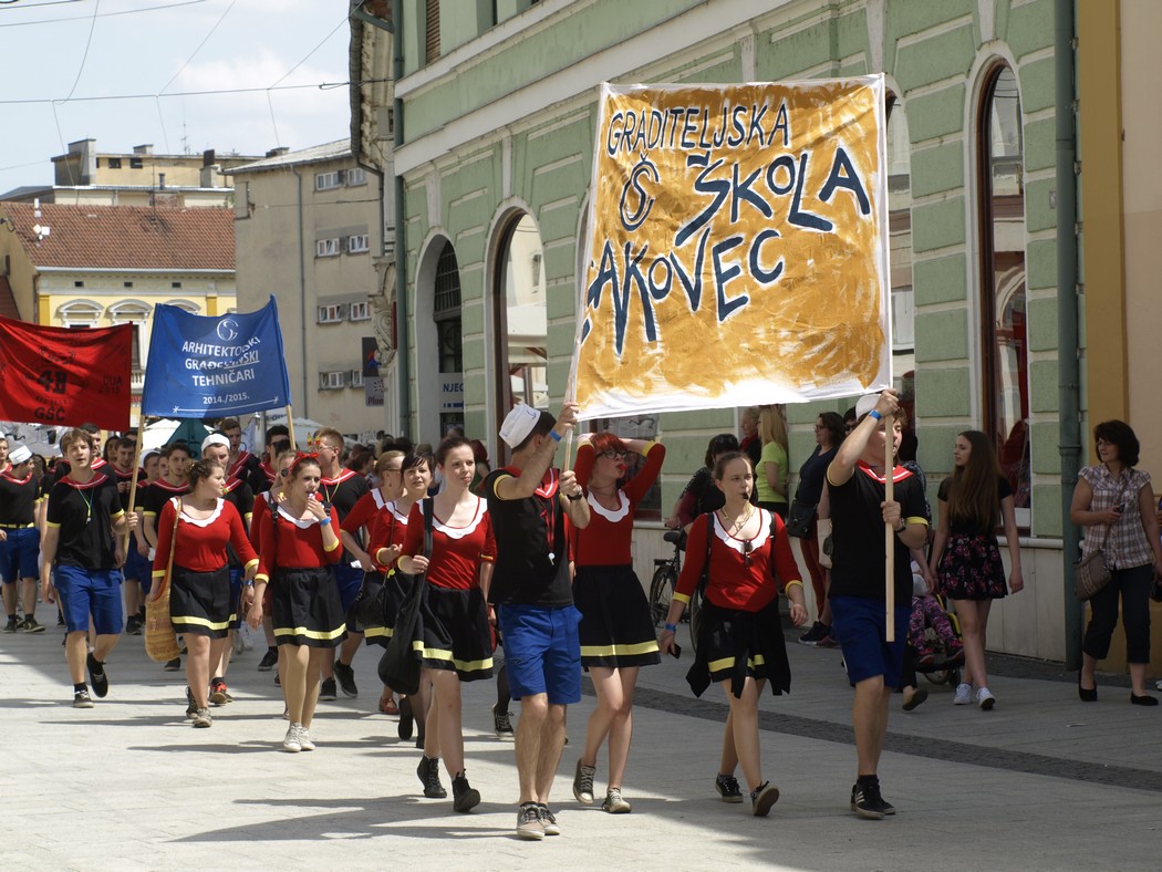 5208738613647kopija804118