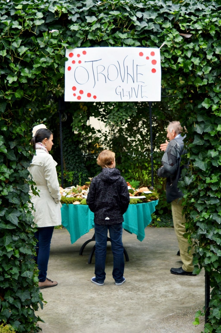 izlozbagljivaotrovnegljive47905