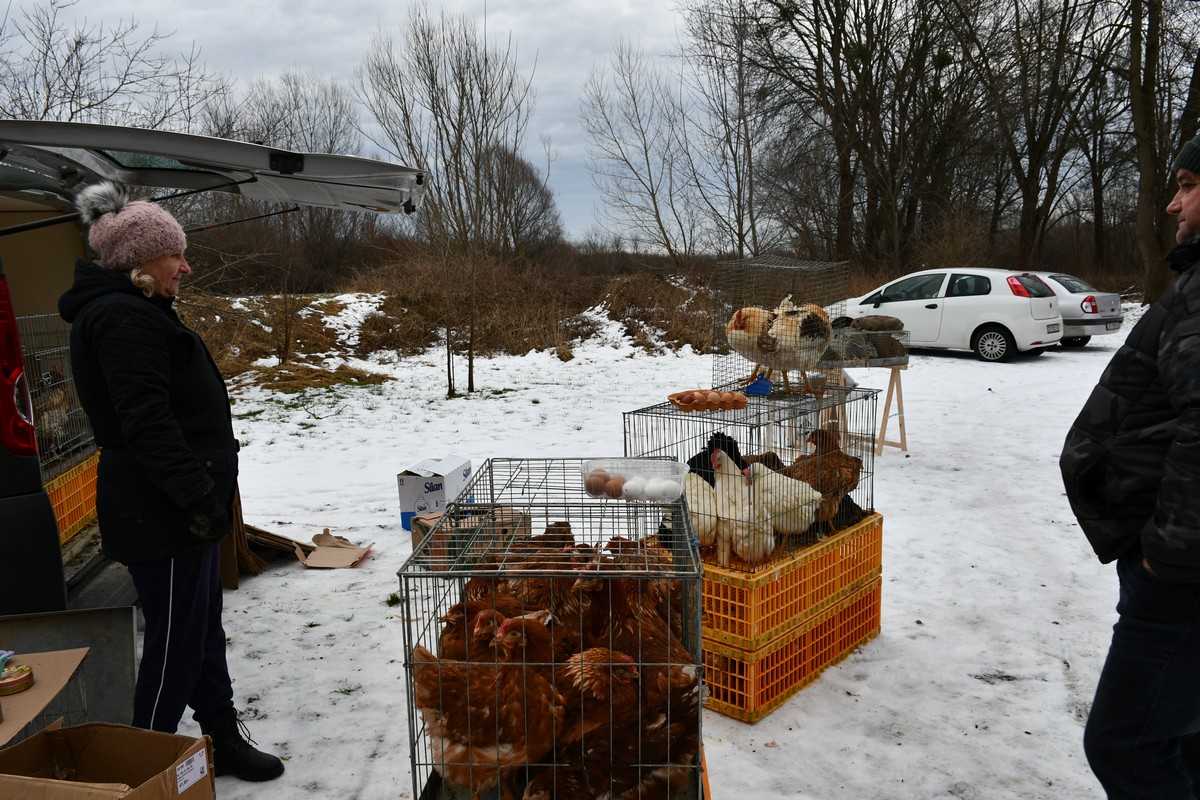 Sajam srijedom, čakovečki sajam, 24.1.
