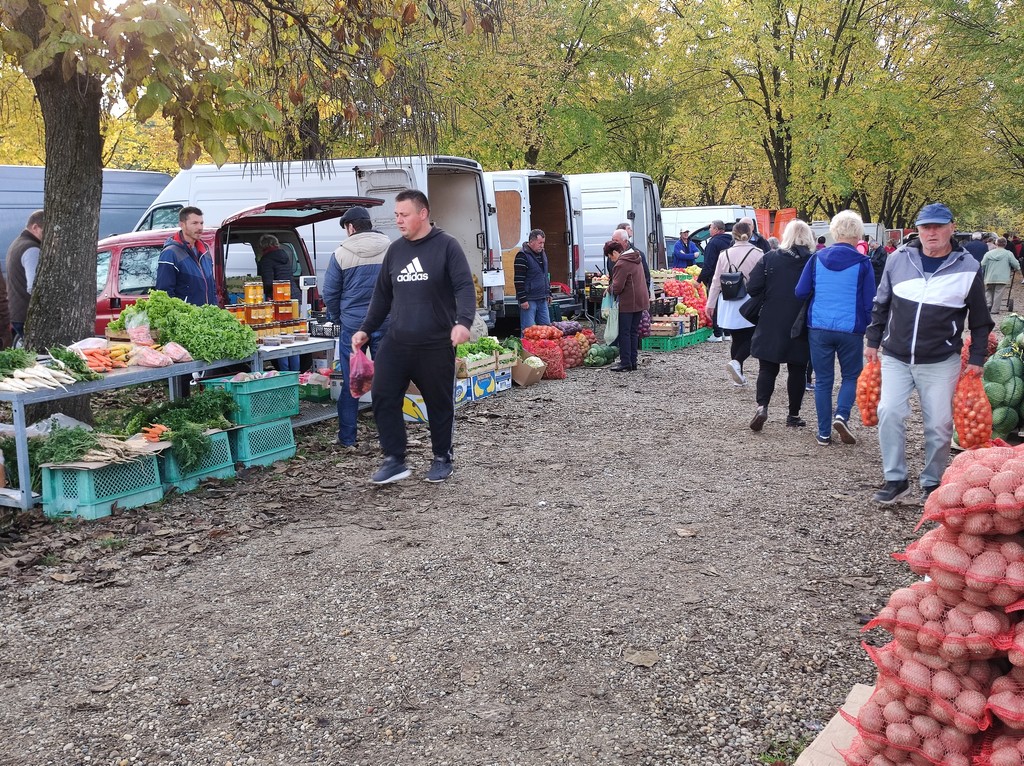SAJAM SRIJEDOM Jeste li već probali meksički krastavac ili čajot?