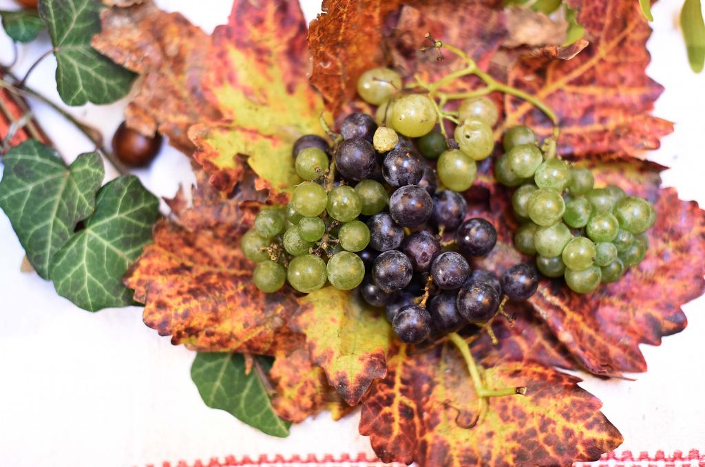 martinje201610413709