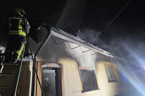 požar Mala Subotica