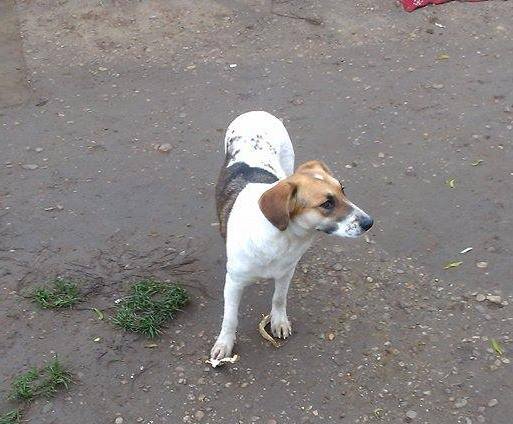 1231652011861308747349255280893