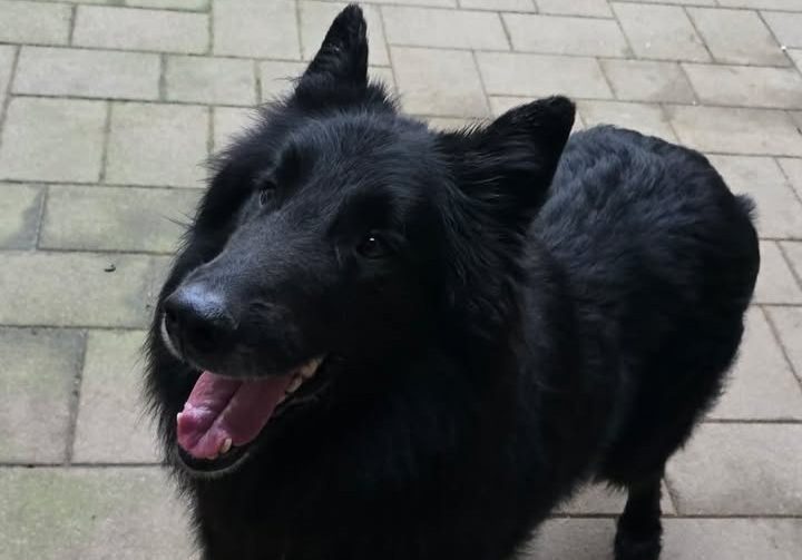 639626649_1902945780344267_740217643993524210_n 639626649_1902945780344267_740217643993524210_n