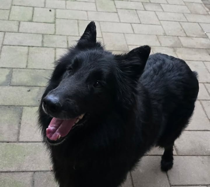 639626649_1902945780344267_740217643993524210_n 639626649_1902945780344267_740217643993524210_n