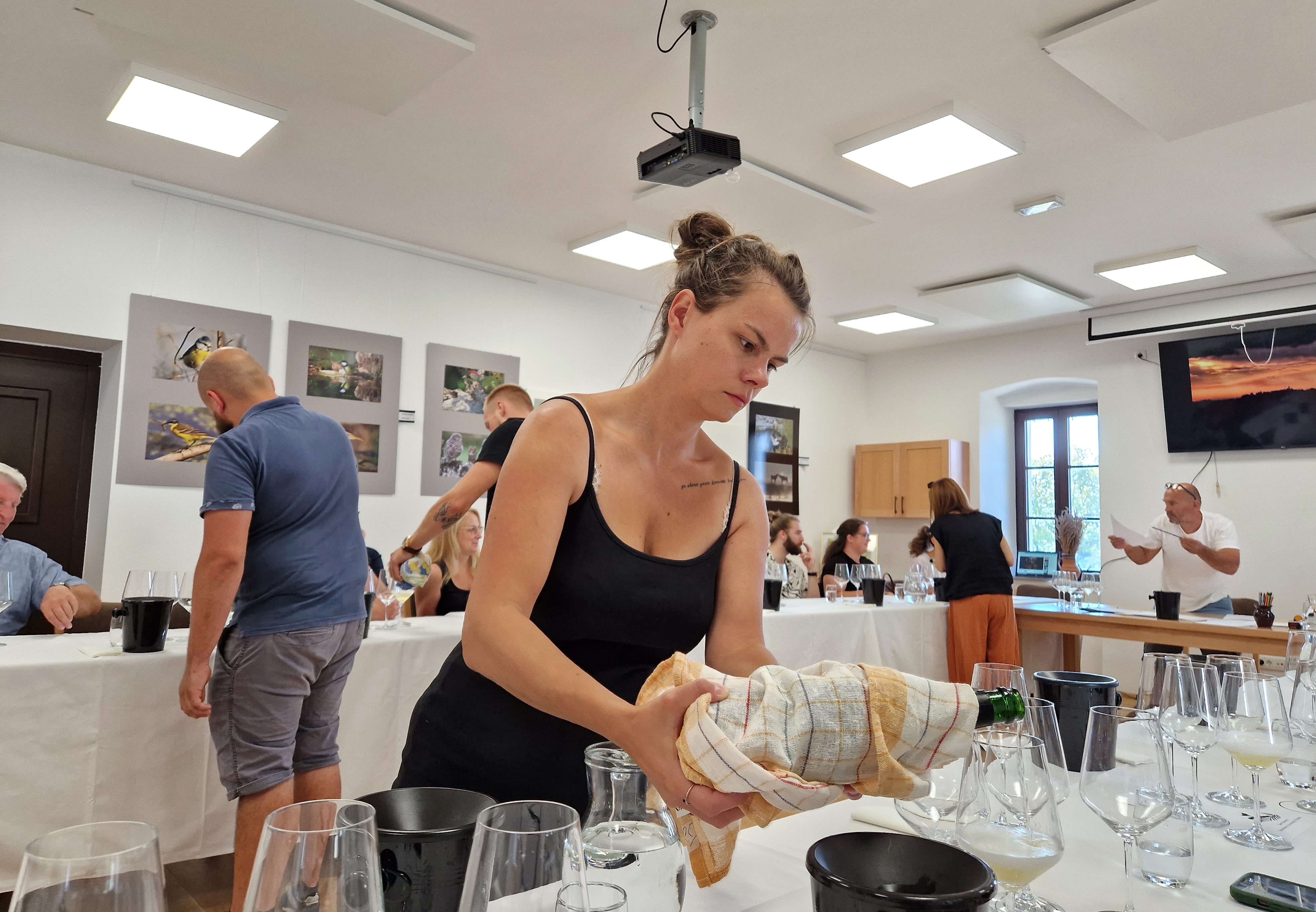 MEĐUNARODNA RADIONICA I DEGUSTACIJA Kušačima je bilo ponuđeno pet setova kvalitetnih vina