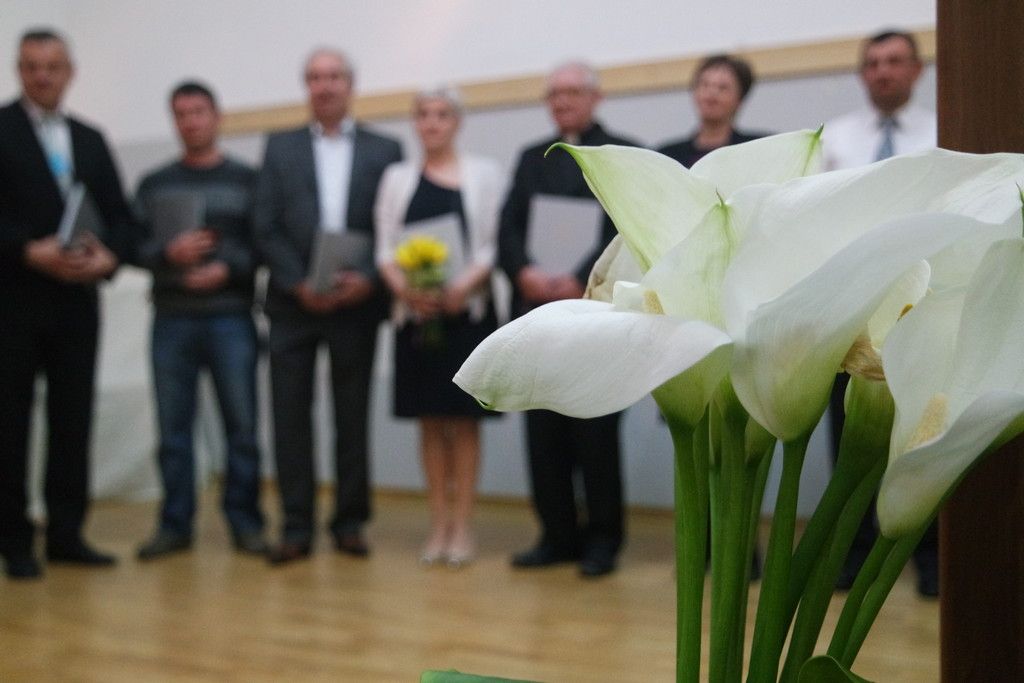 fotografija00016694912