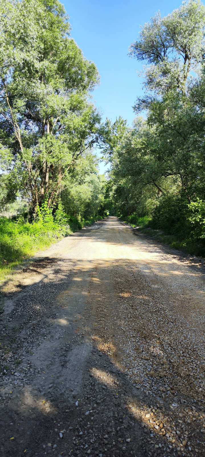 POVLAČENJE MURE Krenulo je čišćenje i uređenje šetnice