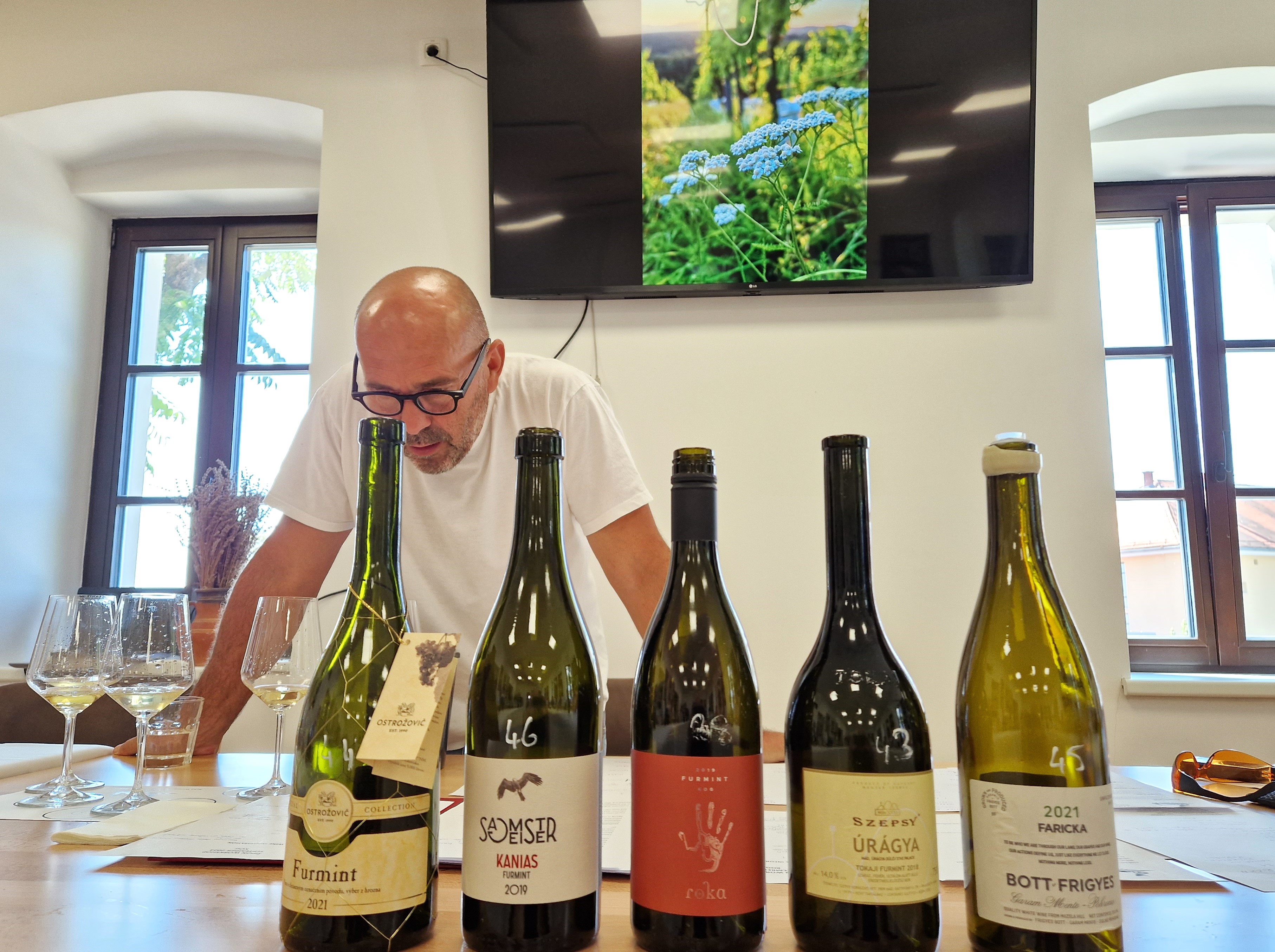 MEĐUNARODNA RADIONICA I DEGUSTACIJA Kušačima je bilo ponuđeno pet setova kvalitetnih vina